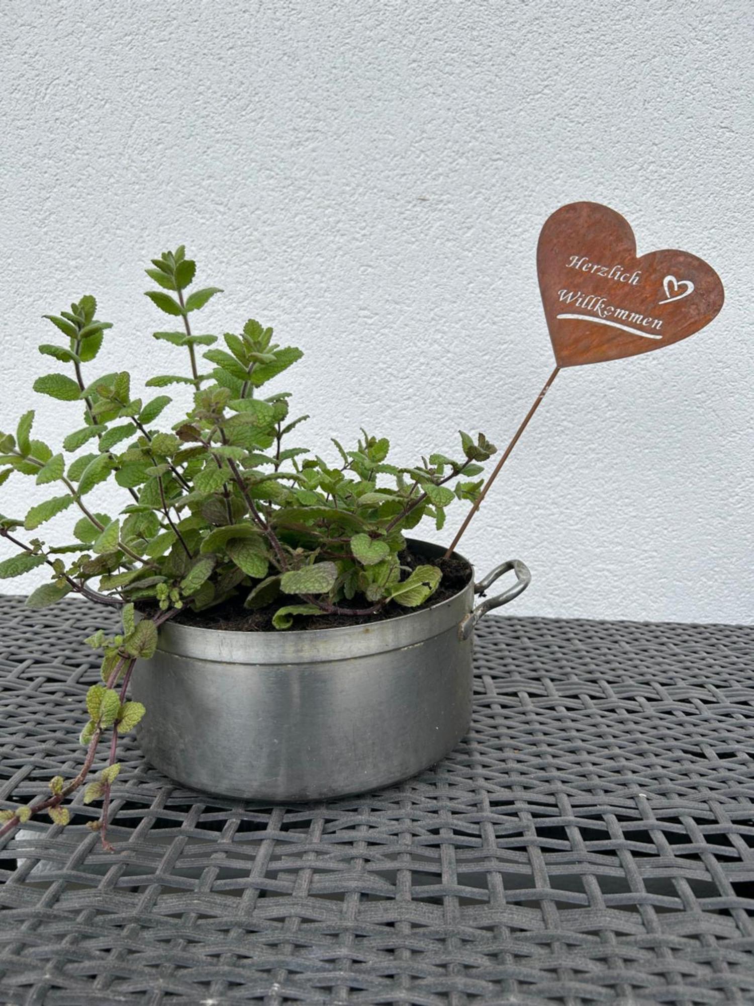 Appartementhaus Bergkristall 칼티트슈 외부 사진